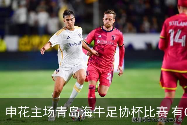 申花主场青岛海牛足协杯比赛 有CCTV5直播