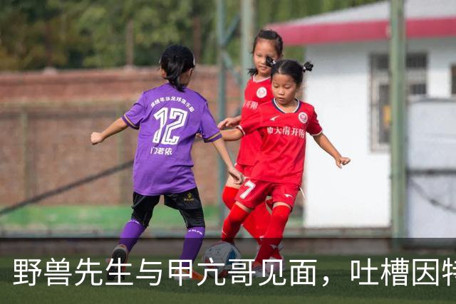 野兽先生与甲亢哥见面，吐槽因特朗普交通拥堵没看见他的开场秀